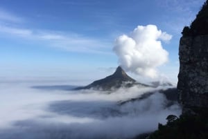 Cape Town: Taffelberget Kasteelspoort tursti