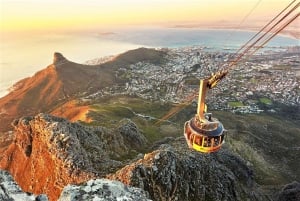 Kapstaden: Taffelberget, Kirstenbosch och Constantia Tour
