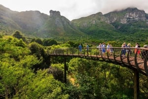 Kapstaden: Taffelberget, Kirstenbosch och Constantia Tour
