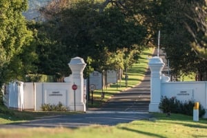 Kapstaden: Taffelberget, Kirstenbosch och Constantia Tour