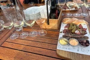 Kapstaden: Taffelberget, Kirstenbosch och Constantia Tour