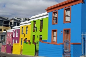 Cape Town: Taffelbjerget, tur i Kirstenbosch Botaniske Have