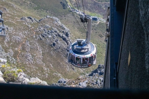 Cape Town: Taffelbjerget, tur i Kirstenbosch Botaniske Have