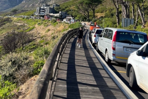 Cape Town: Taffelbjerget, tur i Kirstenbosch Botaniske Have