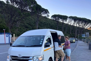 Cape Town: Taffelbjerget, tur i Kirstenbosch Botaniske Have