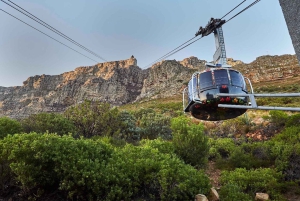 Cape Town: Taffelbjerget, tur i Kirstenbosch Botaniske Have
