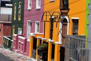 Cape Town: Taffelbjerget, tur i Kirstenbosch Botaniske Have