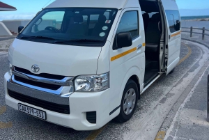 Cape Town: Taffelbjerget, tur i Kirstenbosch Botaniske Have