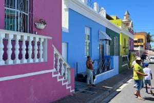 Cape Town: Taffelbjerget, tur i Kirstenbosch Botaniske Have