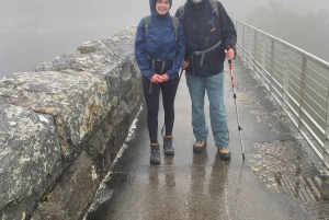 ケープタウン：テーブルマウンテン国立公園ガイド付きハイキング