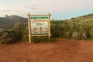 ケープタウン：テーブルマウンテン国立公園ガイド付きハイキング