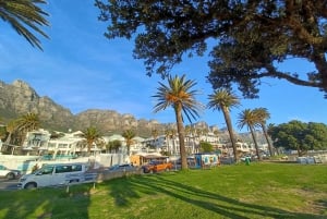 Cape Town: Table Mountain, Noordhoek and Penguins Day Tour