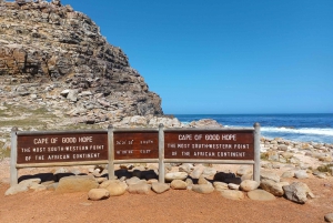 Table Mountain, Cape Of Good e passeio de um dia com pinguins africanos