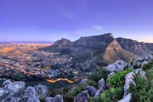 Кейптаун: CAPE OF GOOD HOPE AND PENGUINS PRIVATE FULL DAY.