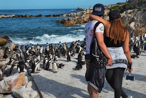 Кейптаун: CAPE OF GOOD HOPE AND PENGUINS PRIVATE FULL DAY.