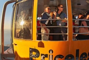 Кейптаун: CAPE OF GOOD HOPE AND PENGUINS PRIVATE FULL DAY.