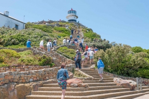 Кейптаун: CAPE OF GOOD HOPE AND PENGUINS PRIVATE FULL DAY.