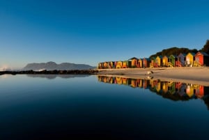 Cape Town Tour: Table Mountain, Penguins & Cape Point+Pickup