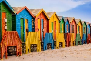 Cape Town Tour: Table Mountain, Penguins & Cape Point+Pickup