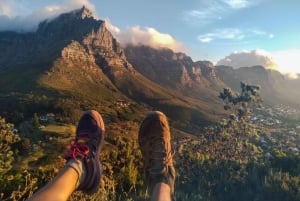 Cape Town Tour: Table Mountain, Penguins & Cape Point+Pickup