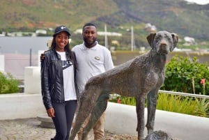 Cape Town Tour: Table Mountain, Penguins & Cape Point+Pickup
