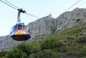 Cape Town Tour: Table Mountain, Penguins & Cape Point+Pickup