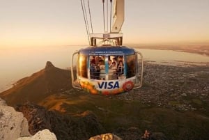Cape Town Tour: Table Mountain, Penguins & Cape Point+Pickup