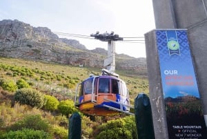 Cape Town Tour: Table Mountain, Penguins & Cape Point+Pickup