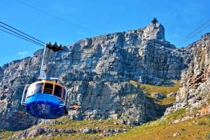 Cape Town Tour: Table Mountain, Penguins & Cape Point+Pickup