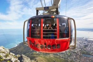 Cape Town Tour: Table Mountain, Penguins & Cape Point+Pickup