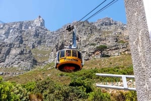 Cape Town Tour: Table Mountain, Penguins & Cape Point+Pickup