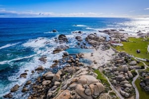 Cape Town Tour: Table Mountain, Penguins & Cape Point+Pickup