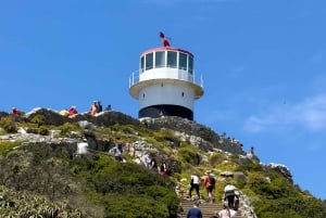 Cape Town Tour: Table Mountain, Penguins & Cape Point+Pickup