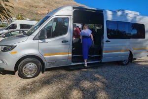 Cape Town Tour: Table Mountain, Penguins & Cape Point+Pickup