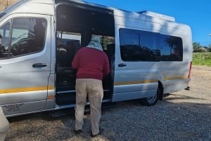 Cape Town Tour: Table Mountain, Penguins & Cape Point+Pickup