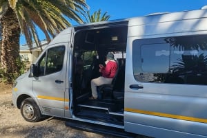 Cape Town Tour: Table Mountain, Penguins & Cape Point+Pickup