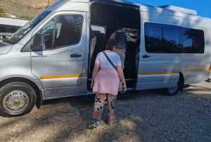 Cape Town Tour: Table Mountain, Penguins & Cape Point+Pickup