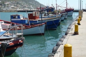 Cape Town Tour: Table Mountain, Penguins & Cape Point+Pickup