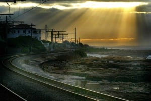 Cape Town Tour: Table Mountain, Penguins & Cape Point+Pickup