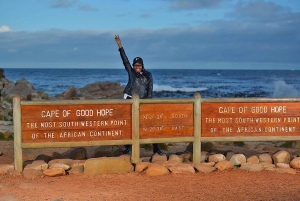 Cape Town Tour: Table Mountain, Penguins & Cape Point+Pickup