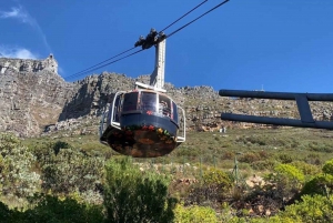 Kapstadt: Tafelberg, Pinguine, Kap der Guten Hoffnung