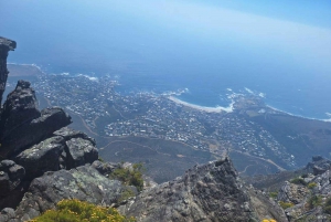 Kapstadt: Tafelberg, Pinguine, Kap der Guten Hoffnung