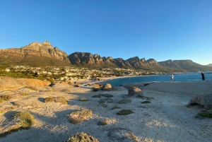 Kapstadt: Tafelberg, Pinguine, Kap der Guten Hoffnung