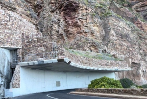 Kapstadt: Tafelberg, Pinguine, Kap der Guten Hoffnung