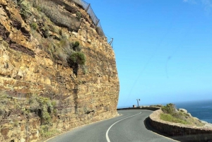 Kapstadt: Tafelberg, Pinguine, Kap der Guten Hoffnung