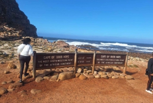 Kapstadt: Tafelberg, Pinguine, Kap der Guten Hoffnung