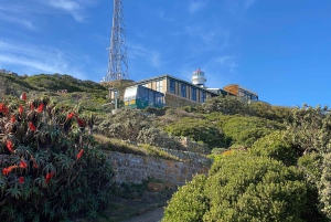 Kapstadt: Tafelberg, Pinguine, Kap der Guten Hoffnung