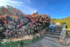 Kapstadt: Tafelberg, Pinguine, Kap der Guten Hoffnung