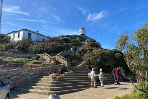 Kapstadt: Tafelberg, Pinguine, Kap der Guten Hoffnung