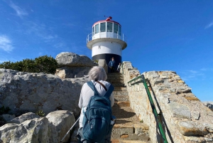 Kapstadt: Tafelberg, Pinguine, Kap der Guten Hoffnung
